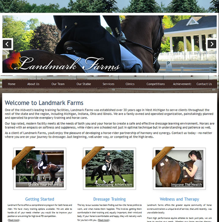 This website markets a great online presence for a Dressage Training School in Kalamazoo, MI.