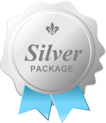 Silver Package Ribbon